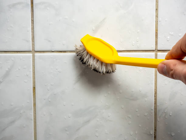 Best Health and Safety Mold Remediation in Normal, IL