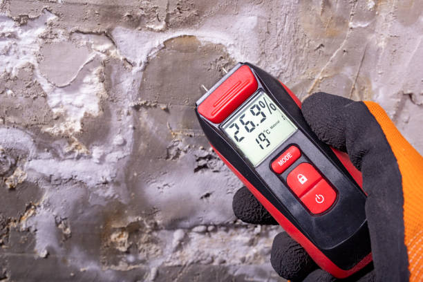 Best HVAC Mold Remediation in Normal, IL
